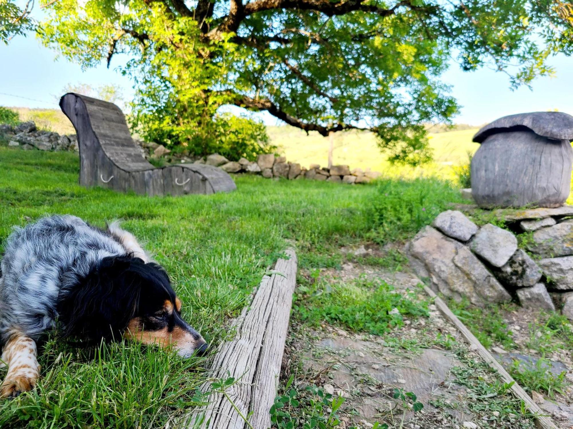 Gites La Boletiere Saint-Étienne-du-Valdonnez Zewnętrze zdjęcie