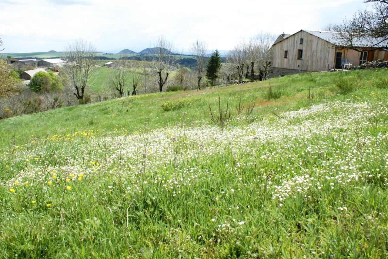 Gites La Boletiere Saint-Étienne-du-Valdonnez Zewnętrze zdjęcie