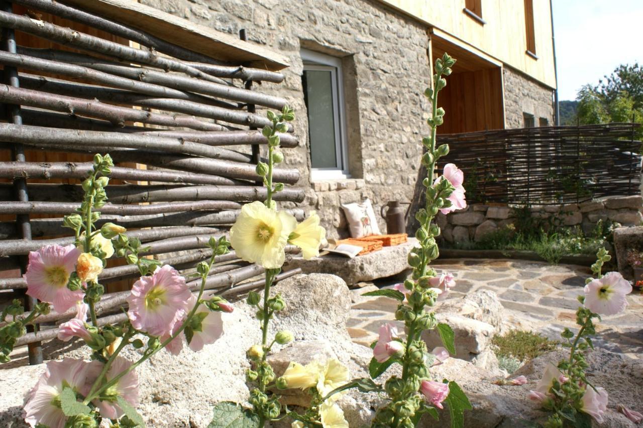 Gites La Boletiere Saint-Étienne-du-Valdonnez Zewnętrze zdjęcie